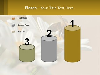 Unit Air Energy PowerPoint Template