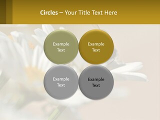 Unit Air Energy PowerPoint Template