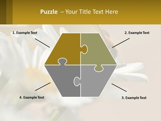 Unit Air Energy PowerPoint Template