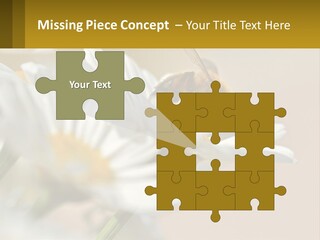 Unit Air Energy PowerPoint Template