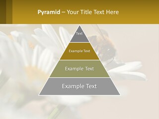 Unit Air Energy PowerPoint Template