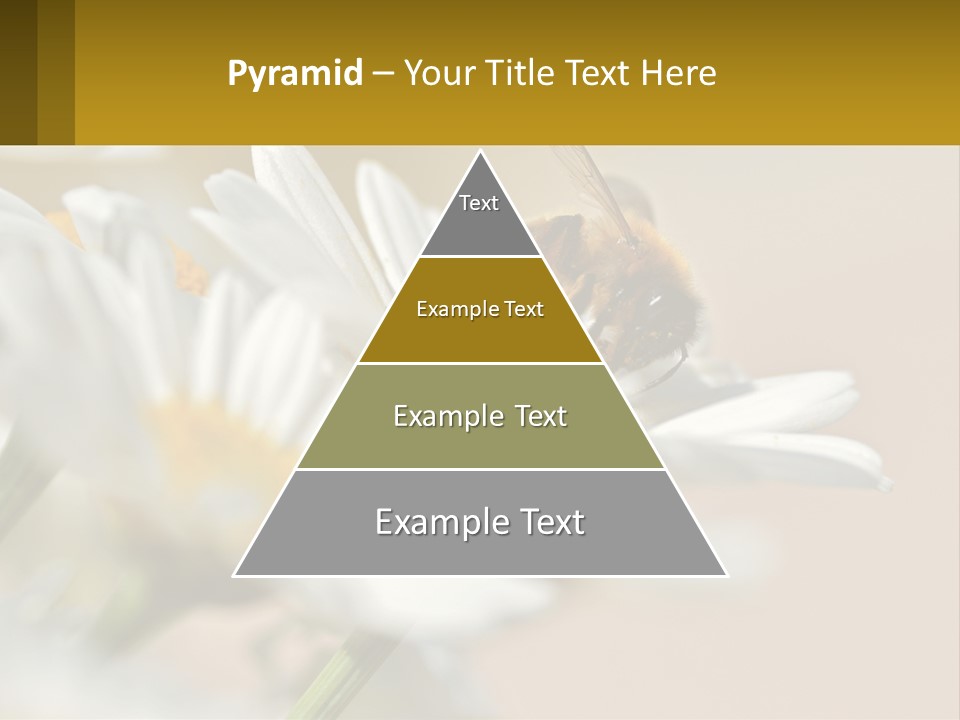 Unit Air Energy PowerPoint Template