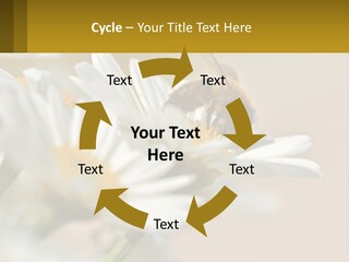 Unit Air Energy PowerPoint Template