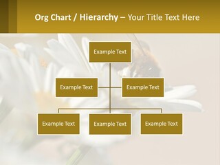 Unit Air Energy PowerPoint Template
