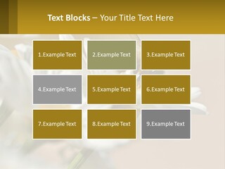 Unit Air Energy PowerPoint Template