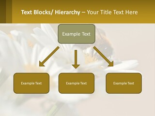 Unit Air Energy PowerPoint Template