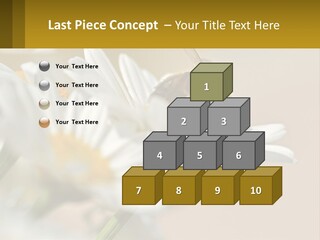 Unit Air Energy PowerPoint Template