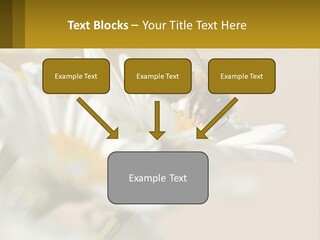 Unit Air Energy PowerPoint Template