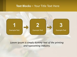 Unit Air Energy PowerPoint Template