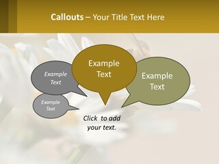Unit Air Energy PowerPoint Template