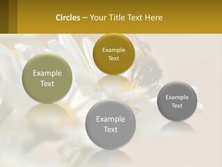 Unit Air Energy PowerPoint Template