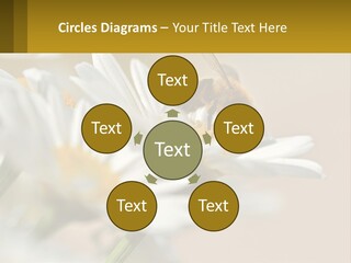 Unit Air Energy PowerPoint Template