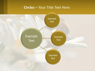 Unit Air Energy PowerPoint Template