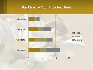 Unit Air Energy PowerPoint Template
