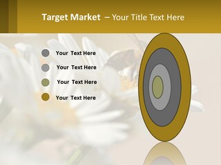 Unit Air Energy PowerPoint Template