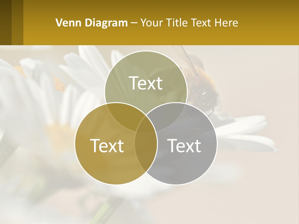 Unit Air Energy PowerPoint Template