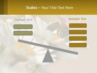 Unit Air Energy PowerPoint Template