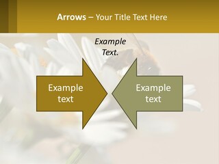 Unit Air Energy PowerPoint Template
