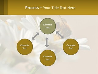 Unit Air Energy PowerPoint Template