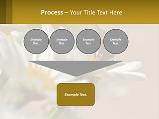 Unit Air Energy PowerPoint Template