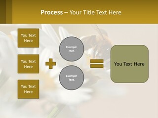 Unit Air Energy PowerPoint Template