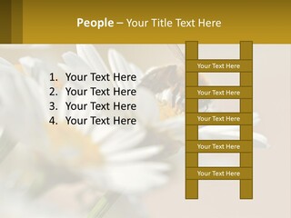 Unit Air Energy PowerPoint Template
