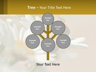 Unit Air Energy PowerPoint Template