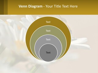 Unit Air Energy PowerPoint Template