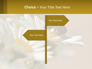 Unit Air Energy PowerPoint Template