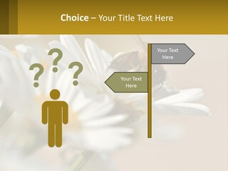 Unit Air Energy PowerPoint Template