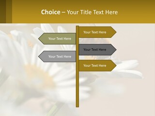 Unit Air Energy PowerPoint Template