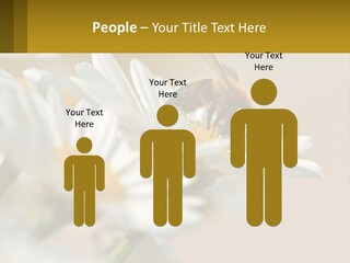 Unit Air Energy PowerPoint Template