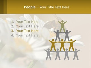 Unit Air Energy PowerPoint Template