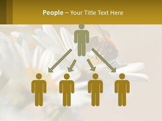 Unit Air Energy PowerPoint Template