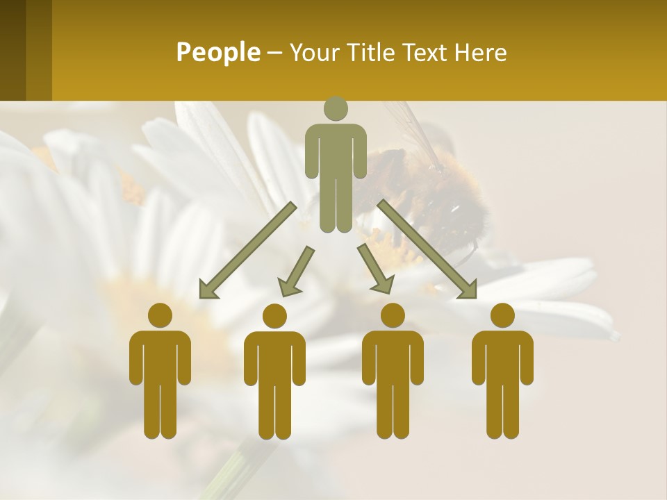 Unit Air Energy PowerPoint Template