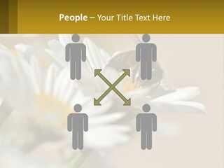 Unit Air Energy PowerPoint Template