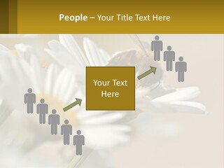 Unit Air Energy PowerPoint Template