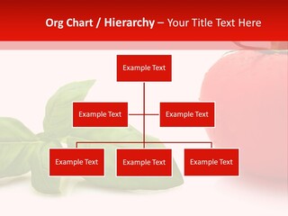 House Cooling Cold PowerPoint Template
