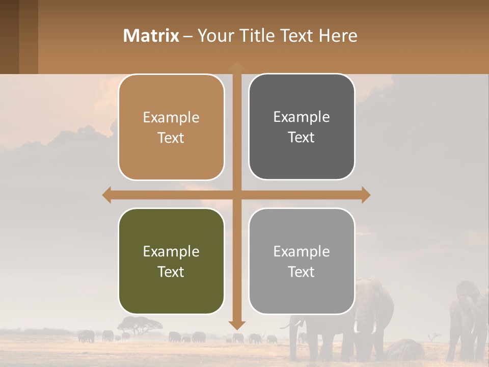 Coastal Caucasian Elderly PowerPoint Template