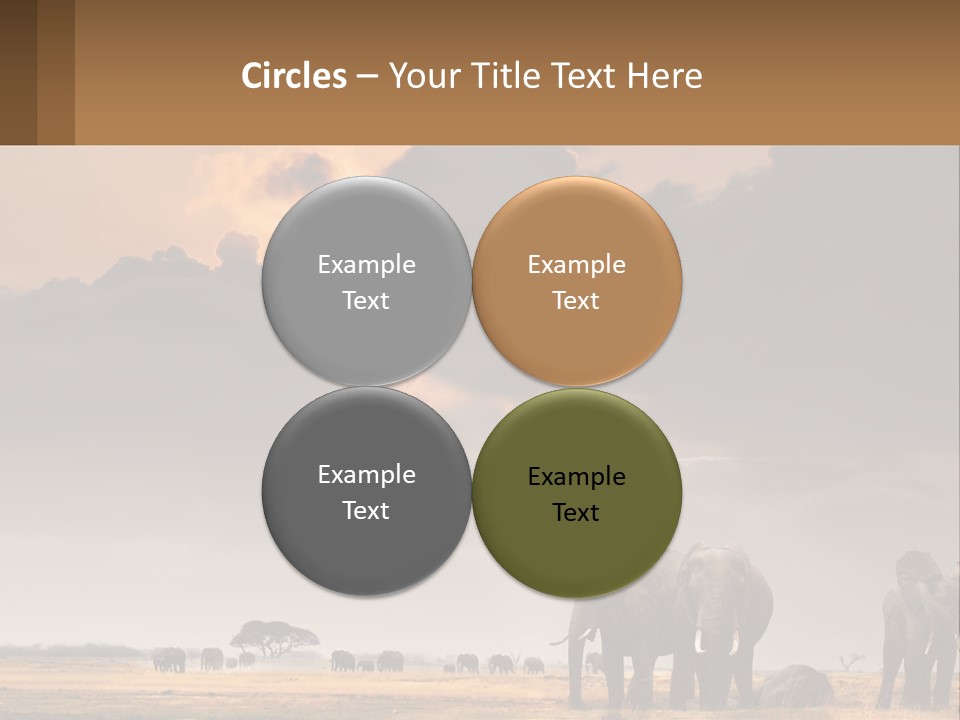 Coastal Caucasian Elderly PowerPoint Template