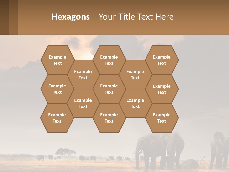 Coastal Caucasian Elderly PowerPoint Template