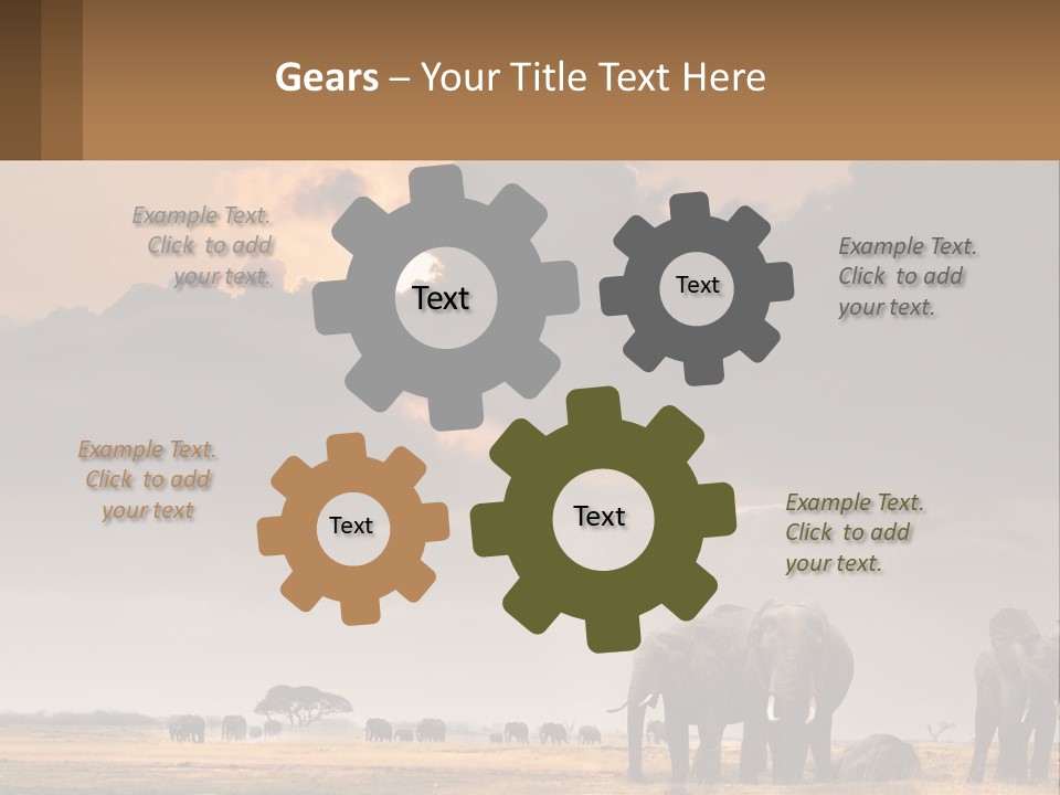 Coastal Caucasian Elderly PowerPoint Template