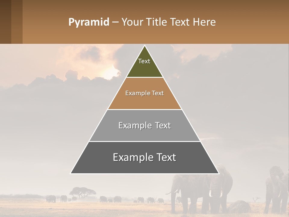 Coastal Caucasian Elderly PowerPoint Template