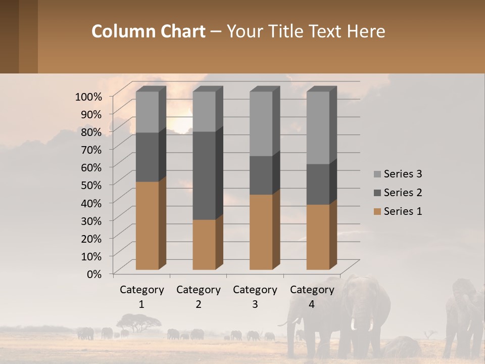 Coastal Caucasian Elderly PowerPoint Template