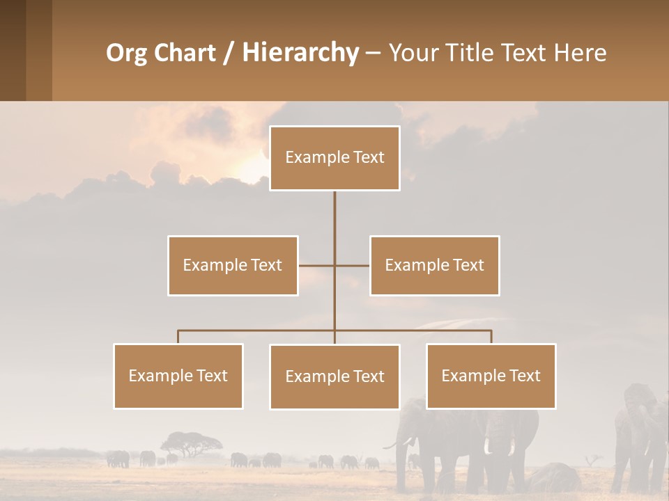 Coastal Caucasian Elderly PowerPoint Template