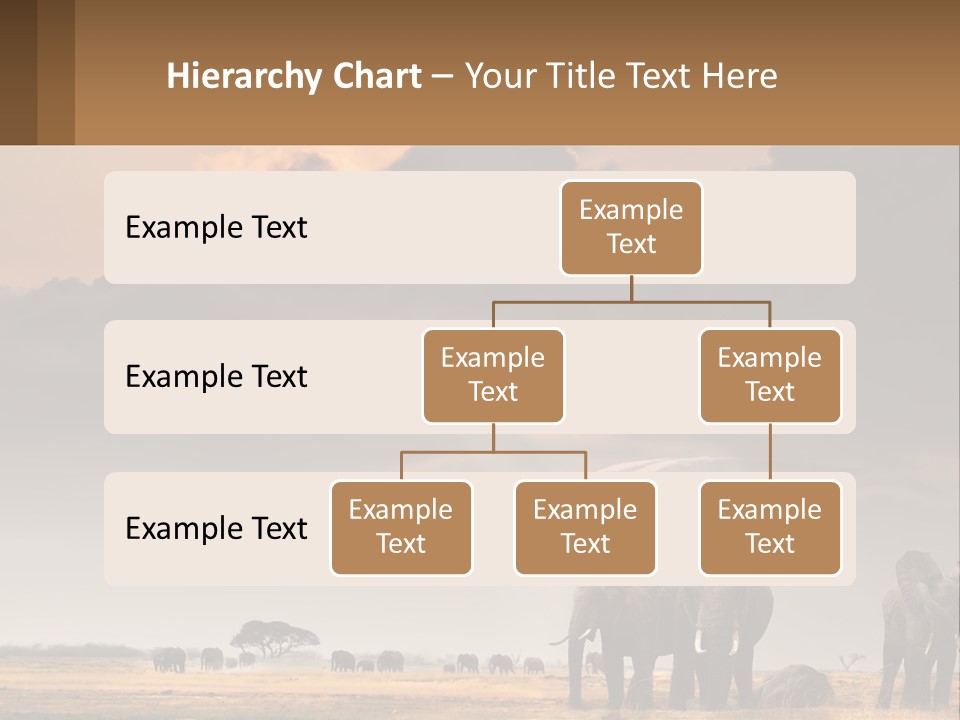 Coastal Caucasian Elderly PowerPoint Template