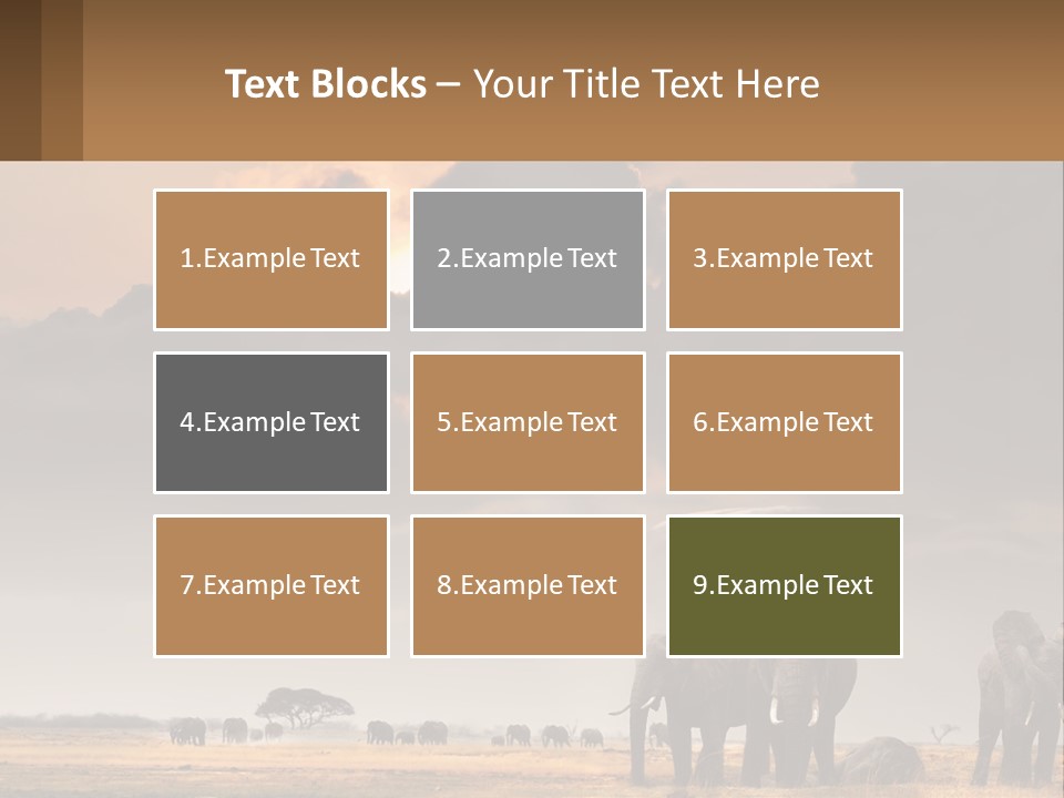 Coastal Caucasian Elderly PowerPoint Template