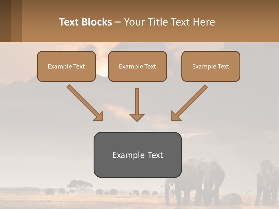 Coastal Caucasian Elderly PowerPoint Template