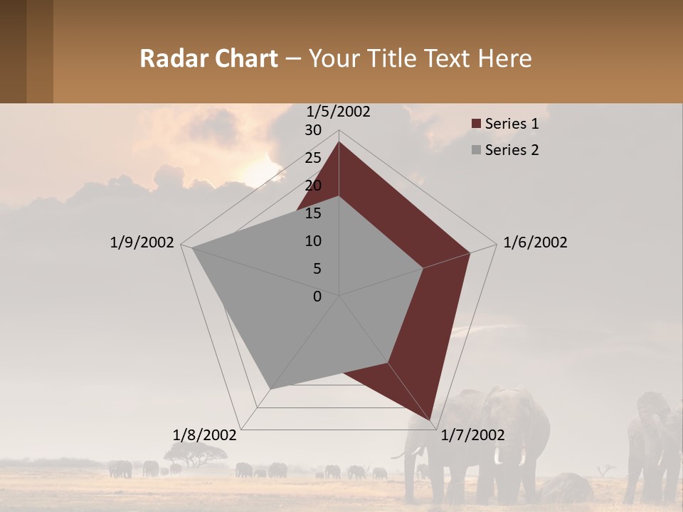 Coastal Caucasian Elderly PowerPoint Template