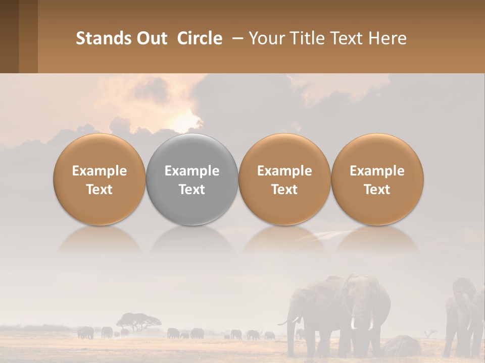 Coastal Caucasian Elderly PowerPoint Template